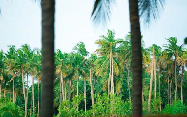 Pepy Vedha Farmstay