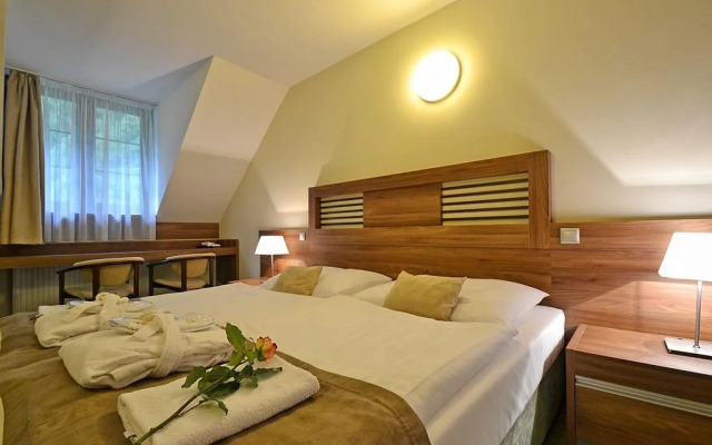 Wellness Hotel Pod Kycmolem