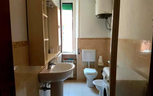 Nido del Gabbiano