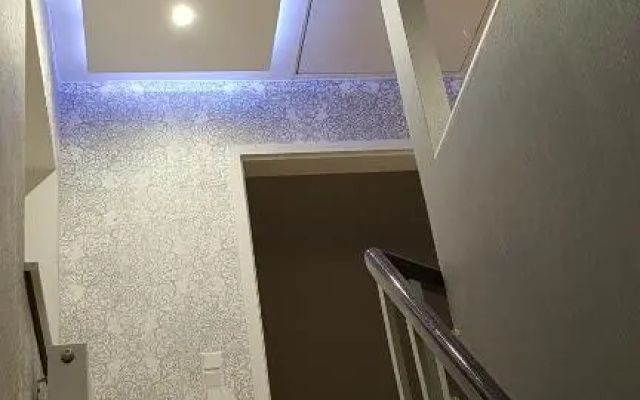 VIOLIMI