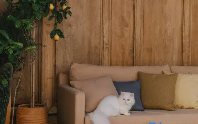 Heart-warming place homestay