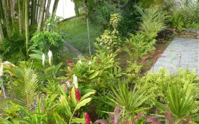 Douceurs Caraïbes, Gîte Balisier.