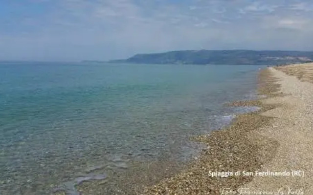 Rosa Di Mare