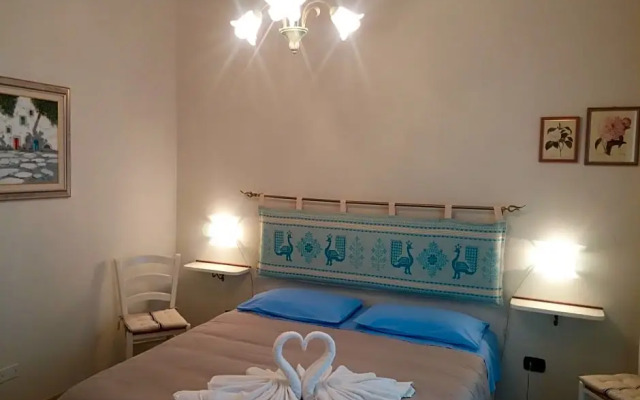 B&B Fiori