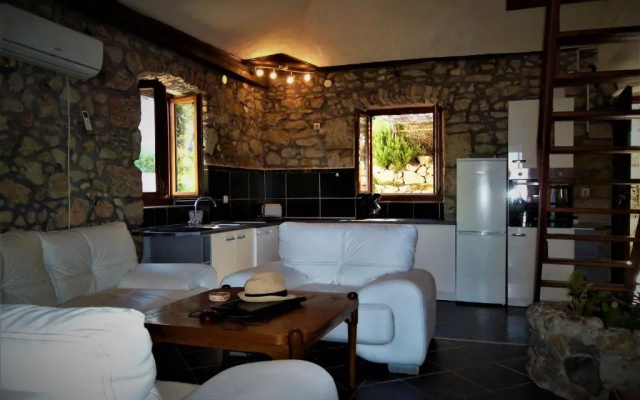 Apartment Damir