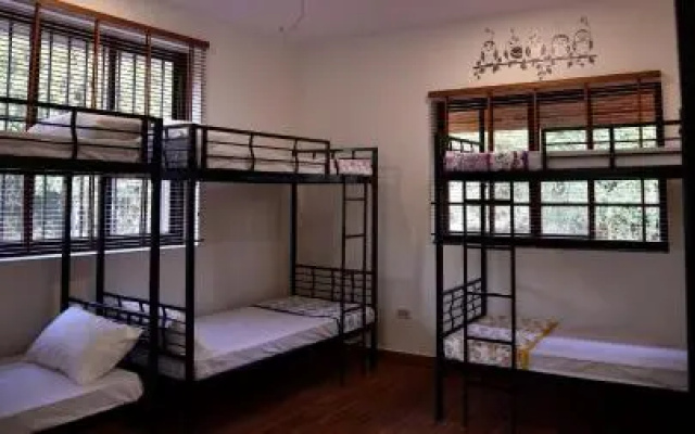 Jolly Poolside Hostel