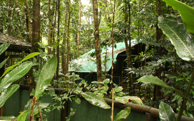 Daintree Crocodylus Village
