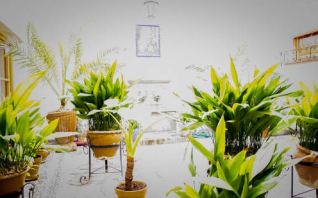 Hostal Jardines
