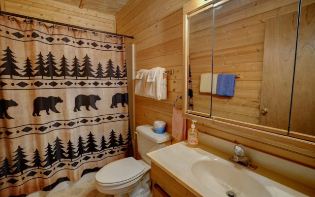 Amazing Adventure Cabin