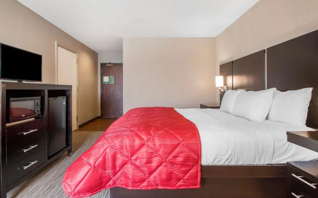 Clarion Inn & Suites Springfield