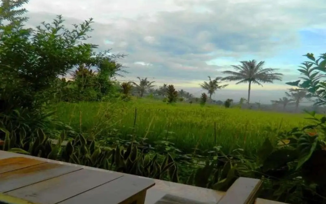 Kampoeng Tourist Homestay