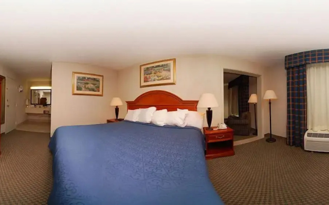 Texas Inn & Suites-Denton