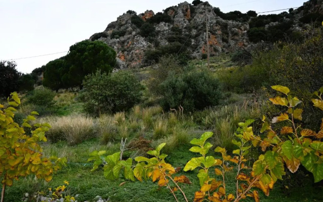 Kritsa Village Home