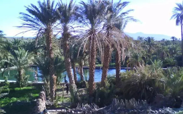 Hotel Elfayja