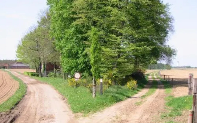 Bed & Breakfast BergOpwaerts
