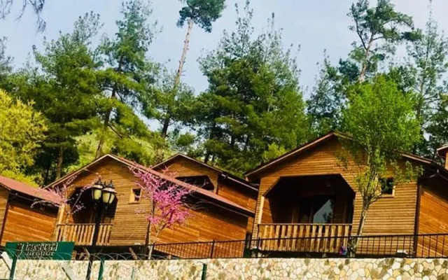 İpek Böceği Park