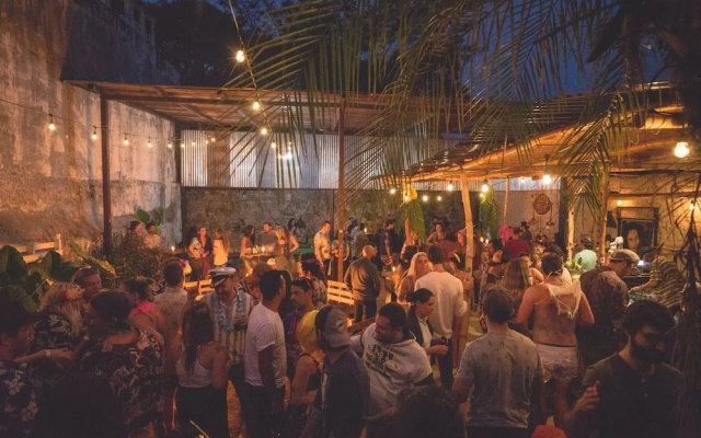 The Doozy Koala Hostel