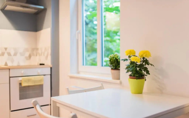 Light Studio Apartment