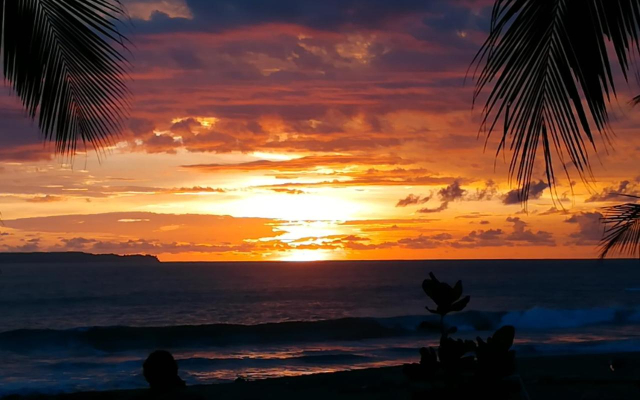Life for Life Sea Turtle Conservation And Lodging