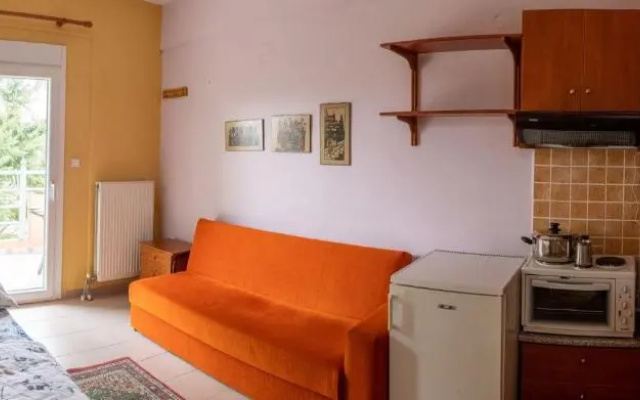 Marianna's studio