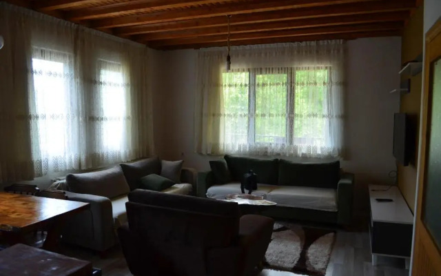 Trabzon green valley villa