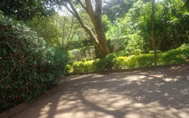 FortyWinks Home