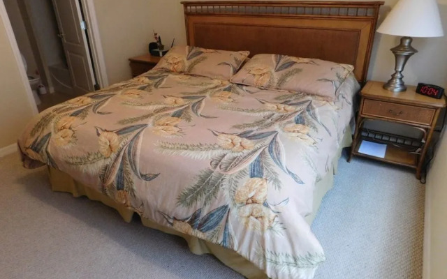 Coral Cay 2475