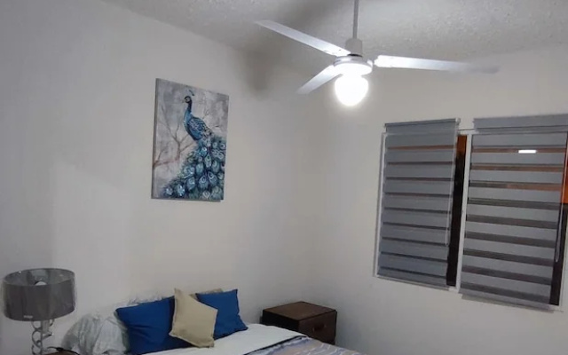 Apartamento Pez cofre