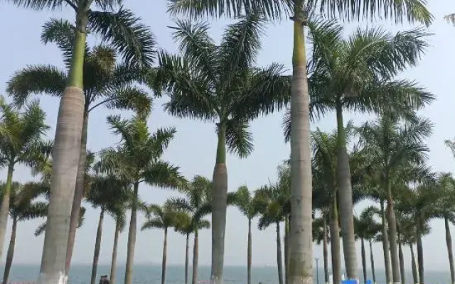 Maodou Seaview Apartment (Xiamen Sunshine Town Rainbow Beach Branch)
