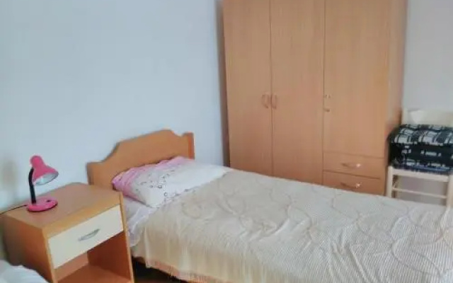 Apartment Davor