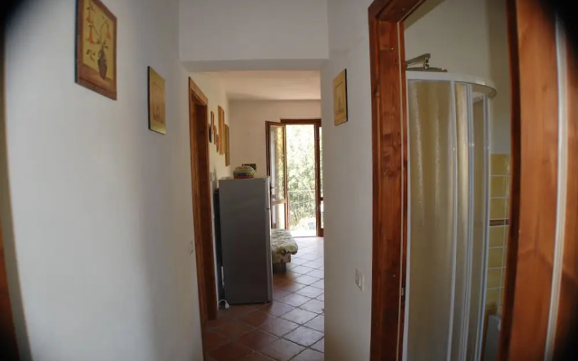 B&B Il Melo Cotogno