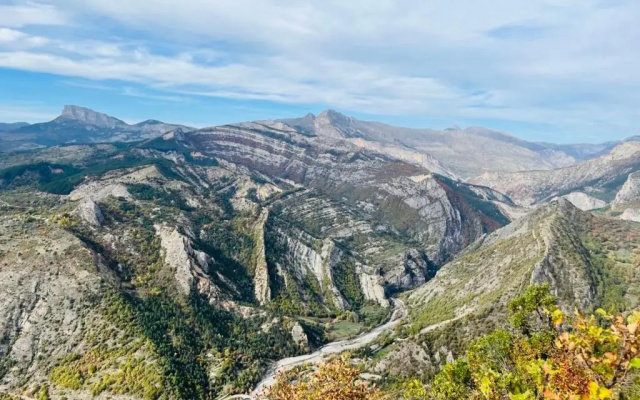Les Glycines