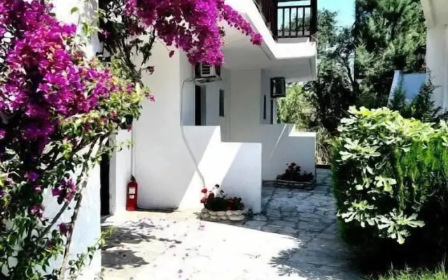 Paradise Hotel