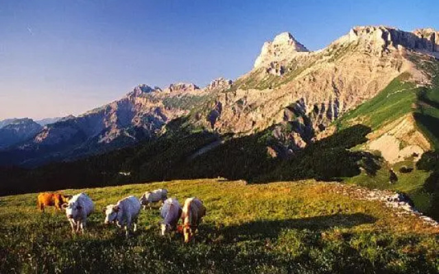 ANCOLIE 23 Les Chalets de Super D
