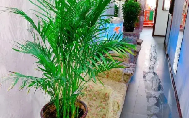 Damei Apartment