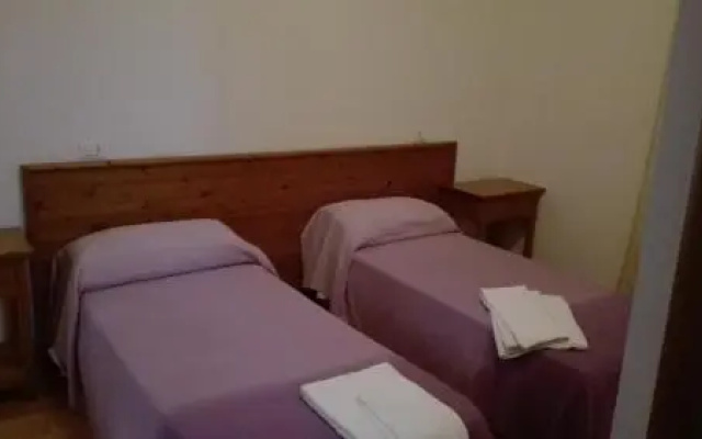 Zimmer Buffalo