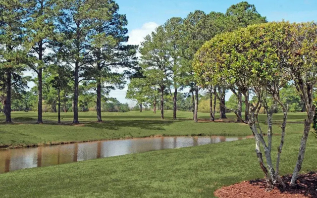Magnolia Pointe Three-bedroom Apartment 101-4828