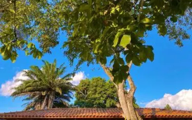 Bonito Plaza Hotel