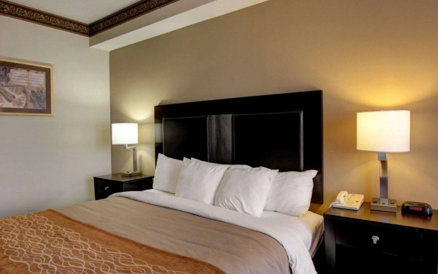 Comfort Inn & Suites Seguin