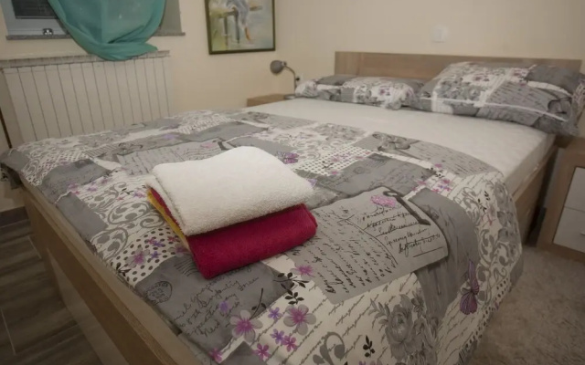 Guest House Celan