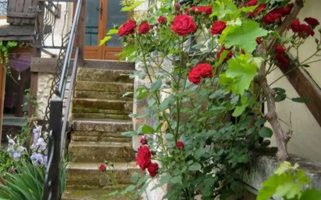 Rouge Boutique hotel - appartements