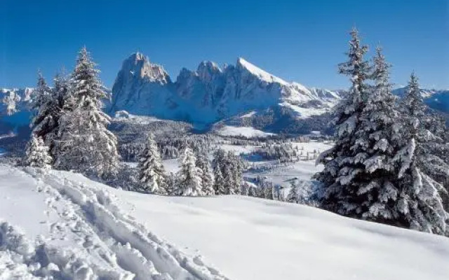 Alpin Sport