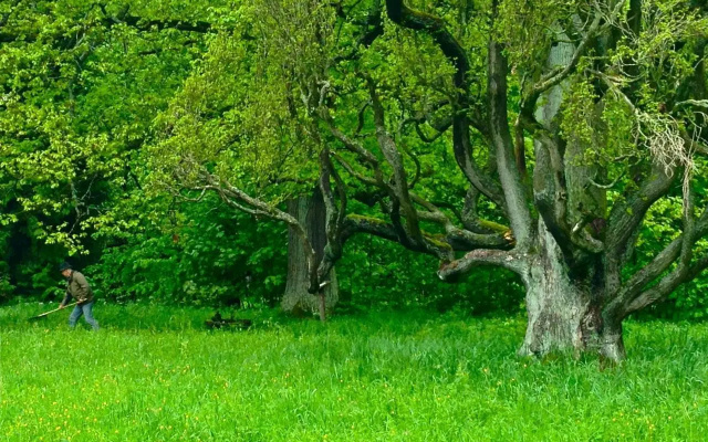 Kunstpark Reinhardsbrunn