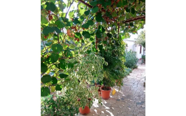 Apartment Gracijana 2