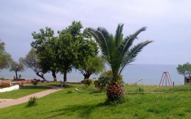 Petalidi