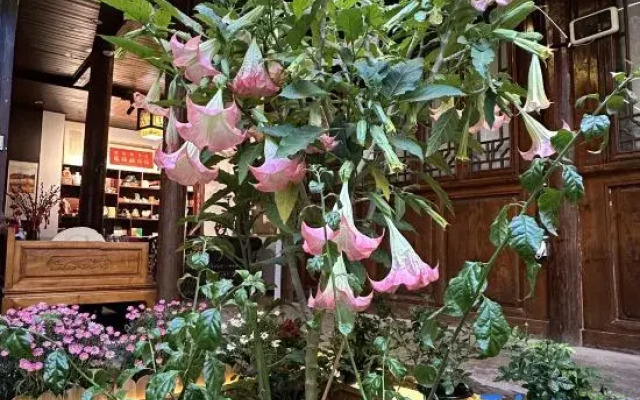 Chun Lin Inn