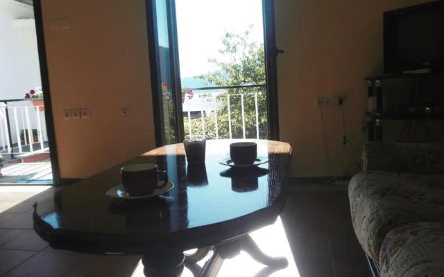 Apartment Ivana
