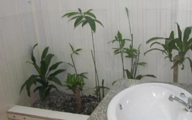 Sea Lavie Hostel