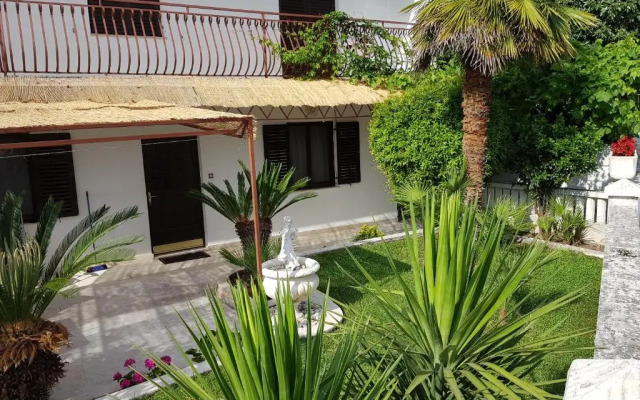 Holiday Home Palm Tree
