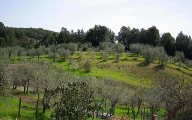 Casa di Santi - Appartamento La Cinciallegra
